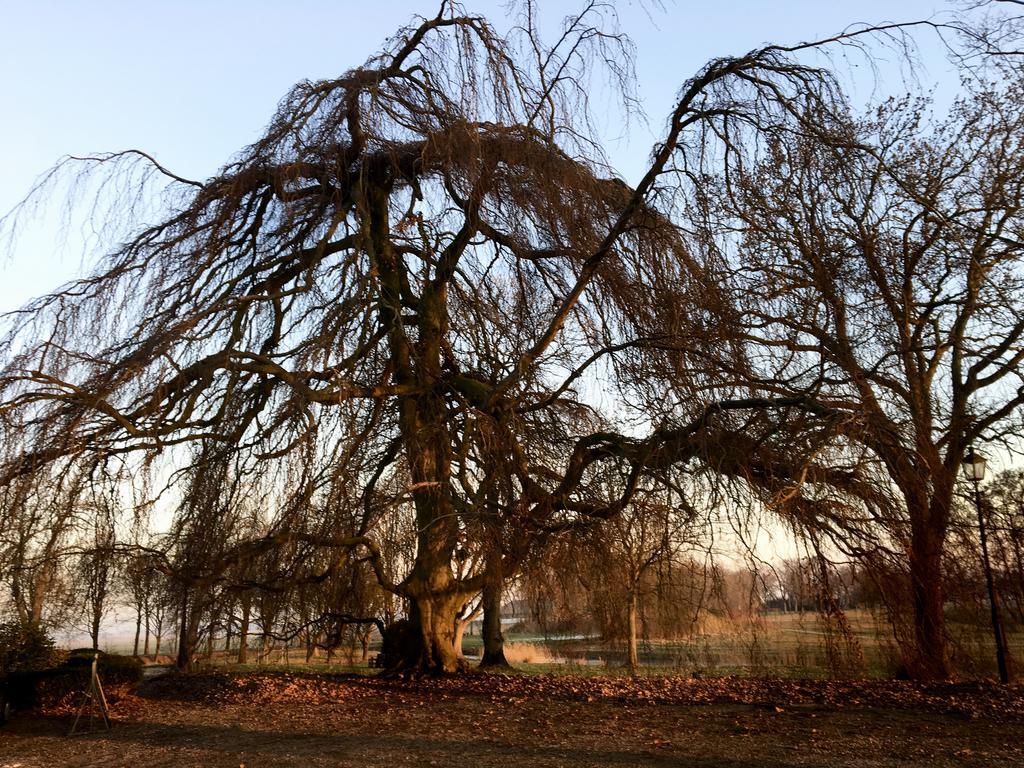 ホテルBoerderij Welgelegen Harich エクステリア 写真